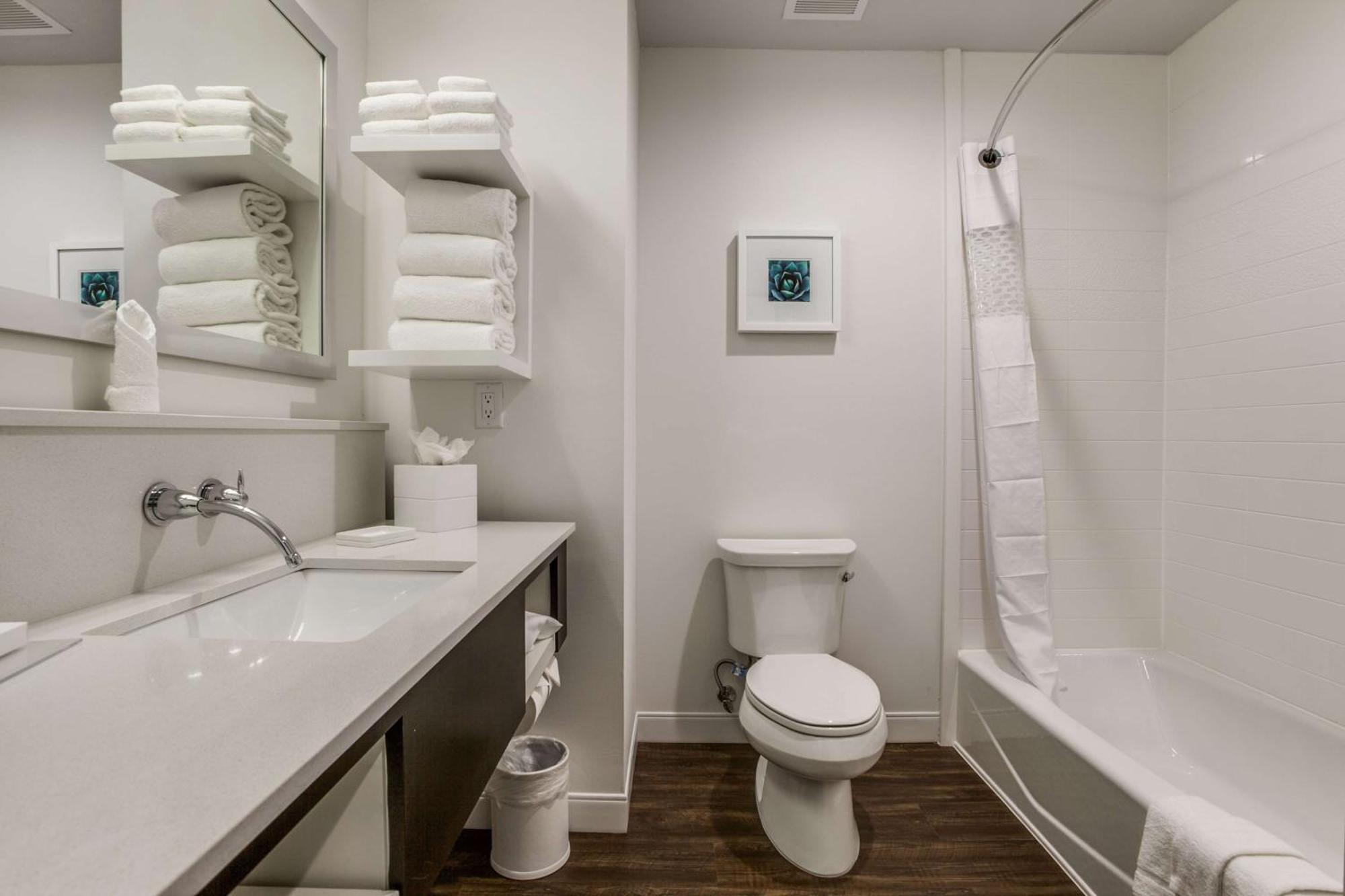 Hampton Inn & Suites Dallas-Central Expy/North Park Area Extérieur photo